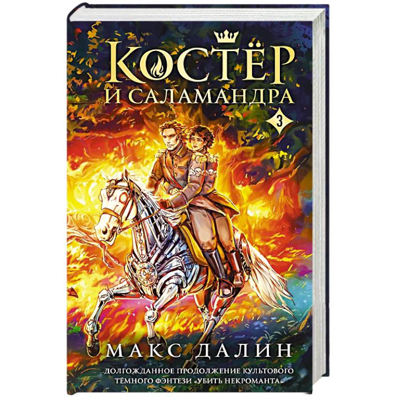 Костер и Саламандра. Книга 3