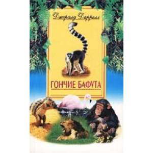 Гончие Бафута