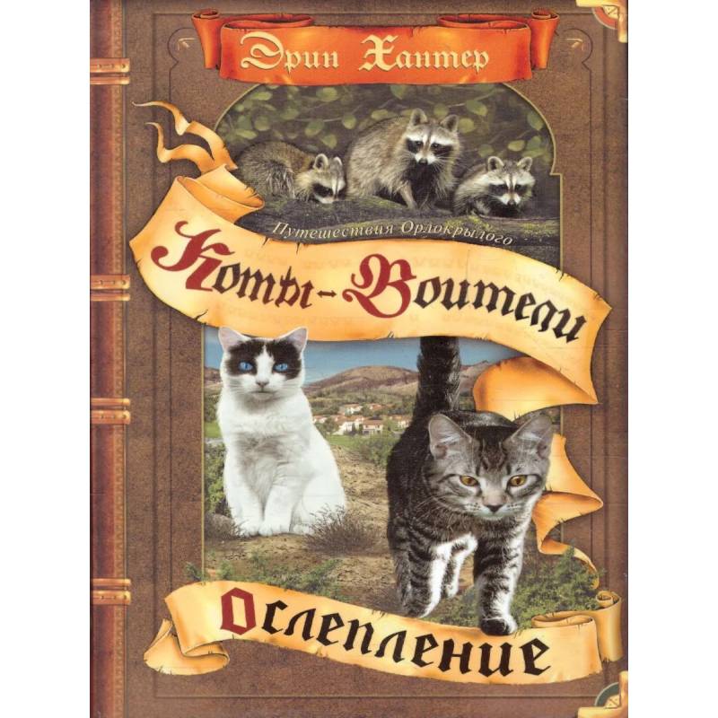 Путешествия Орлокрылого. Ослепление