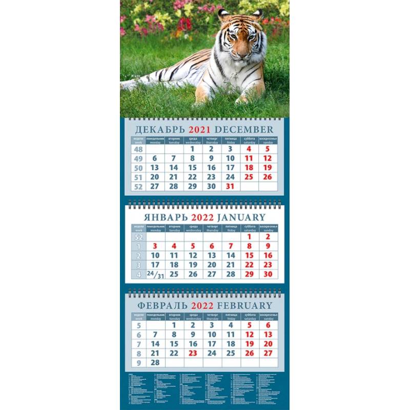 Календарь квартальный на 2022 год 'Год тигра. Сила и грация' (14202)