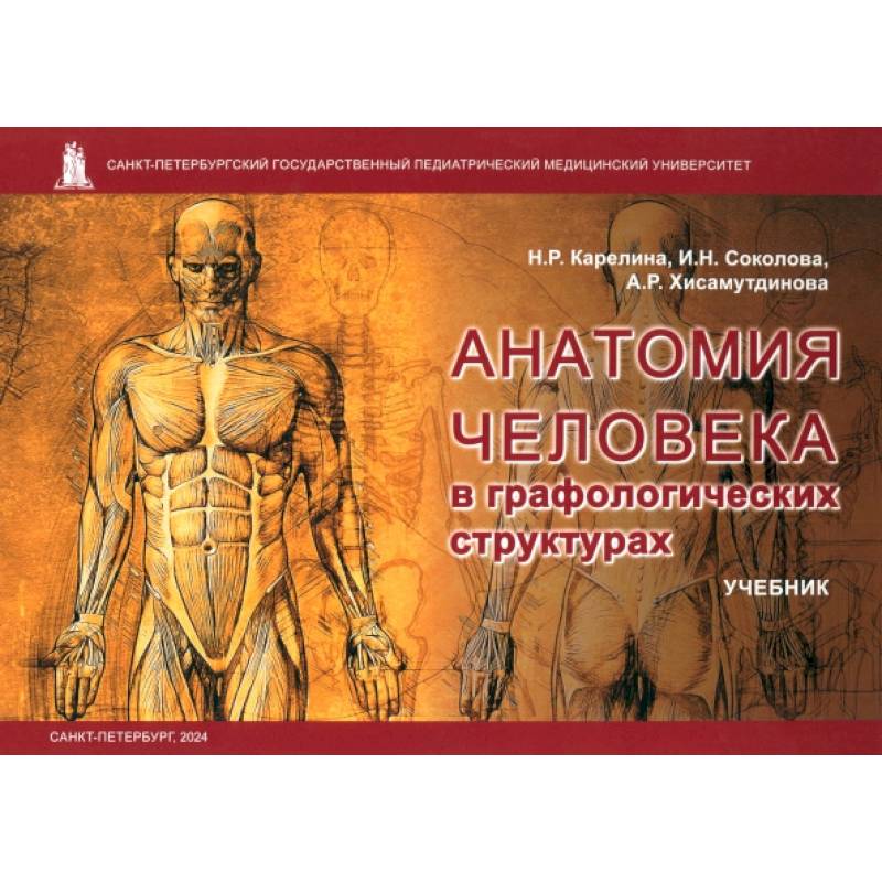 Анатомия человека в графологических структурах. Учебник