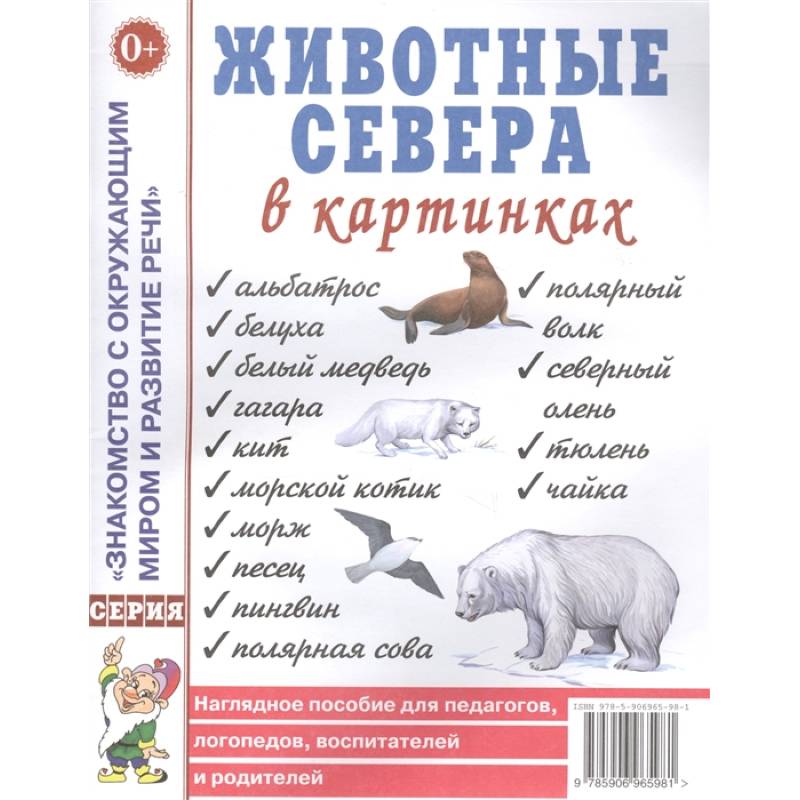 Животные севера в картинках