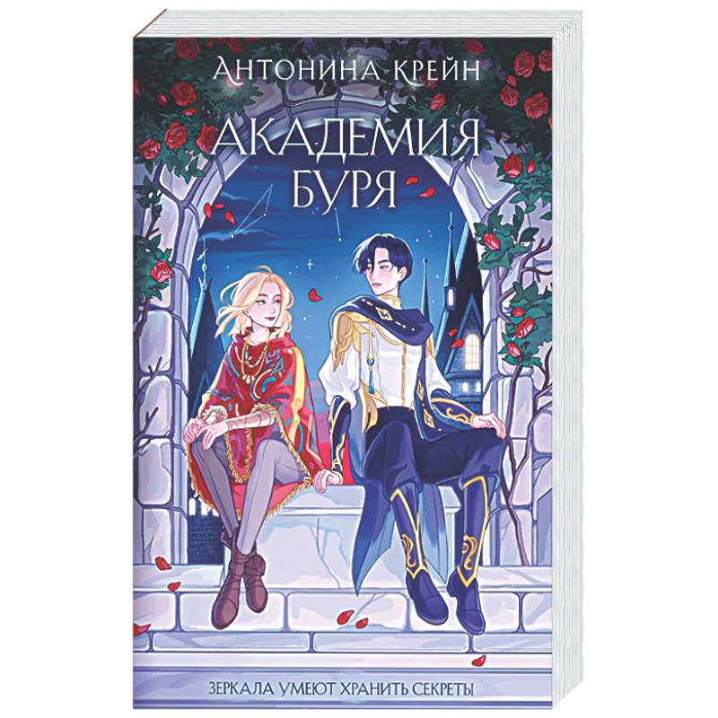 Шолох. Академия Буря (Шолох #3)
