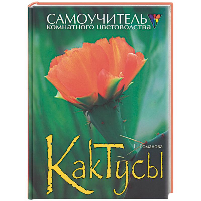 Кактусы