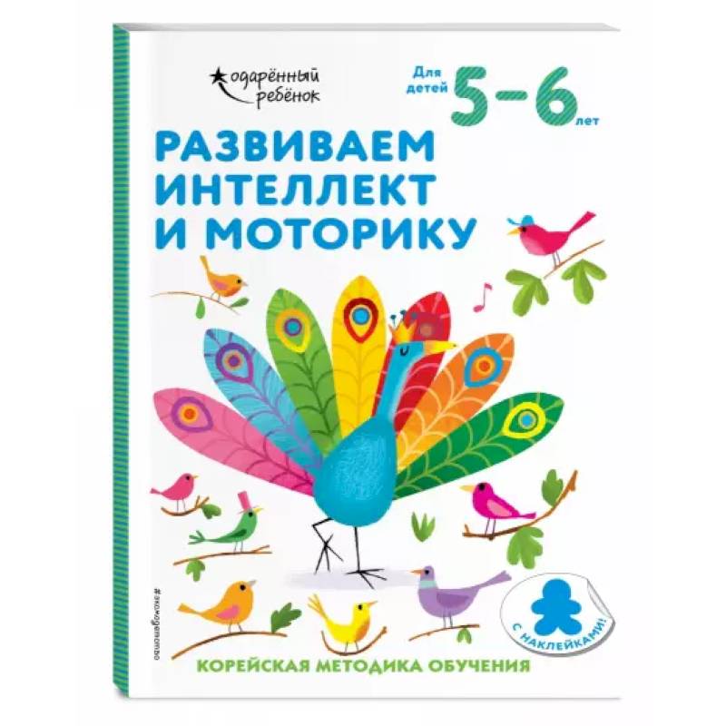 Развиваем интеллект и моторику: для детей 5–6 лет (с наклейками)