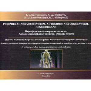Периферическая нервная система. Автономная нервная система. Органы чувств