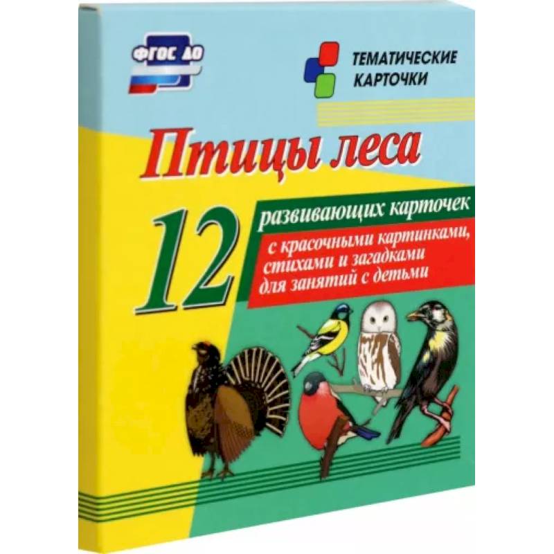 Птицы леса. 12 развивающих карточек с красочными картинками, стихами и загадками для занятий