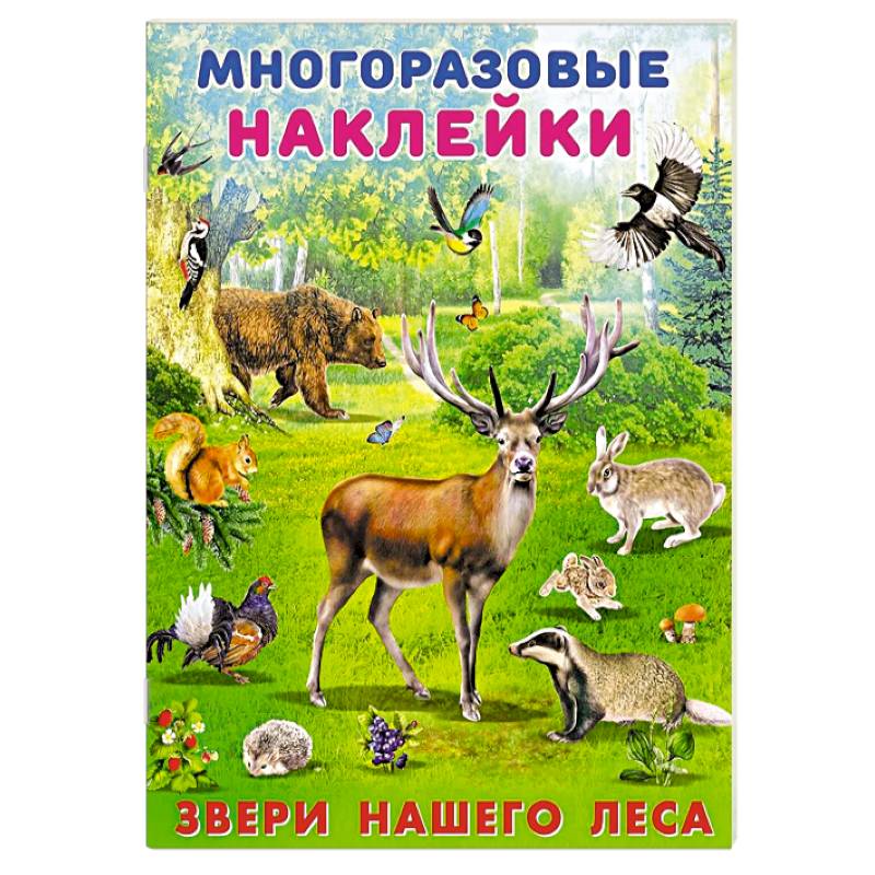 Звери нашего леса