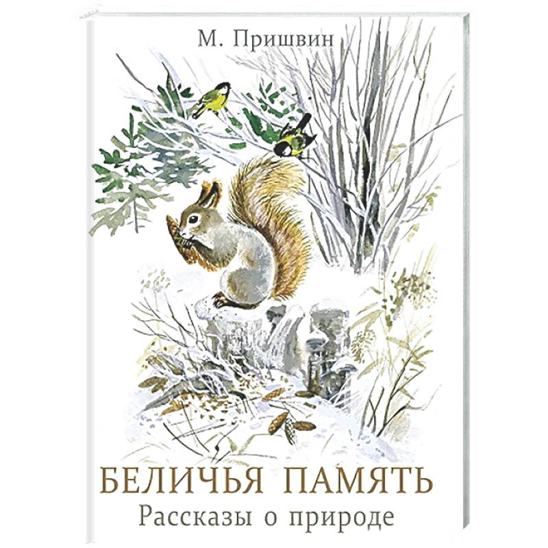 Беличья память: рассказы о природе