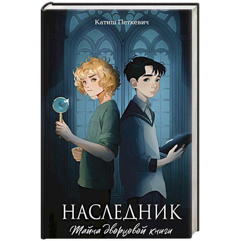 Наследник. Тайна дворцовой книги