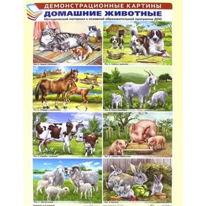 Демонстрационные картины. Домашние животные