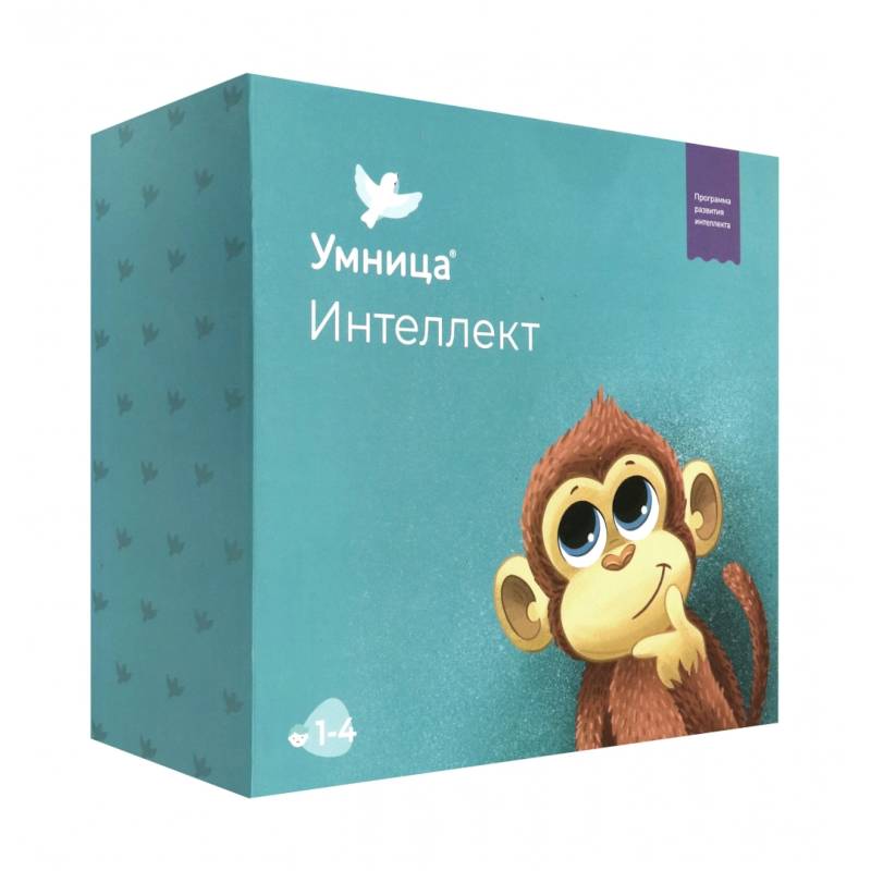 Интеллект. Развивающий набор