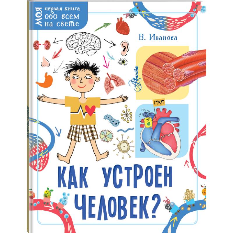 Как устроен человек?