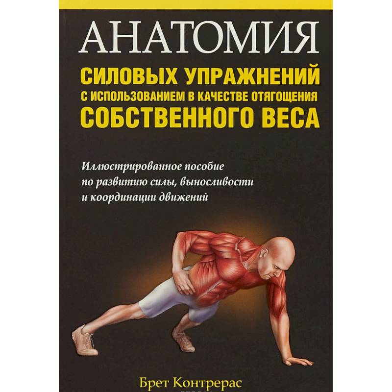 Анатомия силовых упражнений с использованием в качестве отягощения собственного веса