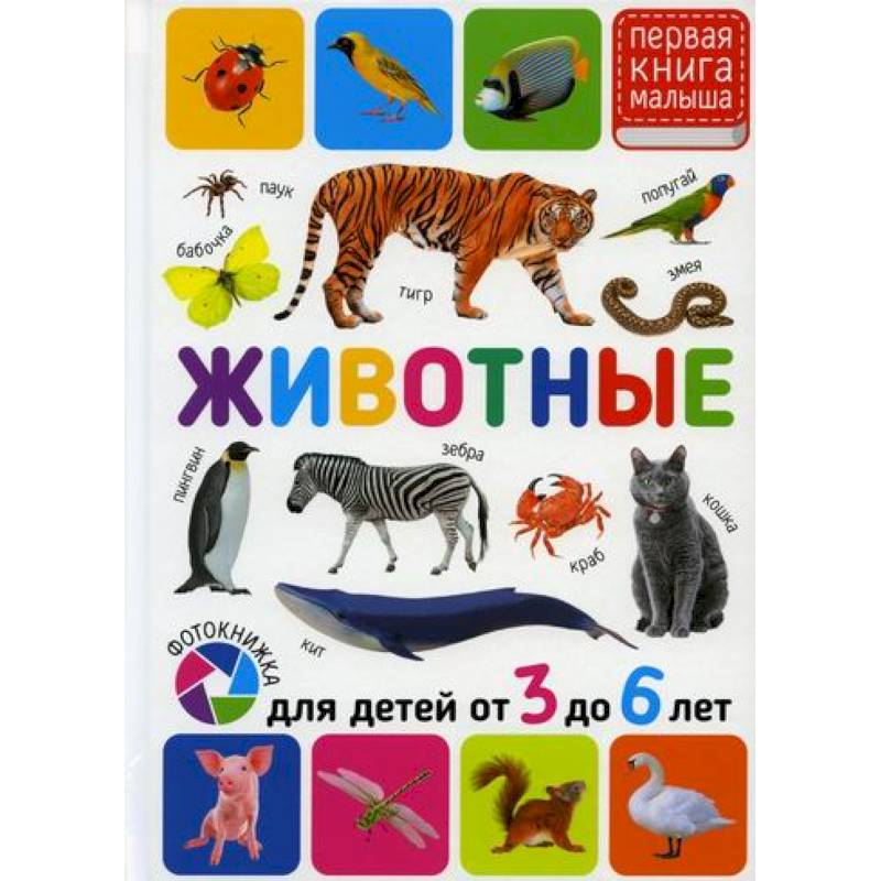 Животные. Для детей от 3 до 6 лет