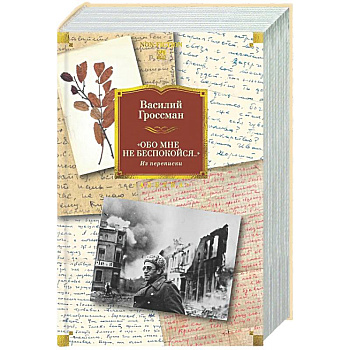 Обо мне не беспокойся...Из переписки Василия Гроссмана