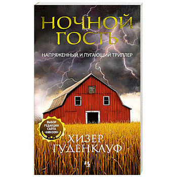 Ночной гость