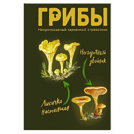 Грибы. Справочники. Определители, книга Грибы. Непромокаемый карманный справочник купить по скидке