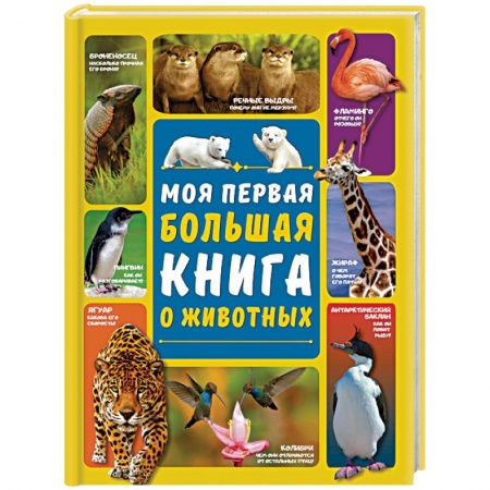 Животный и растительный мир, книга Моя первая большая книга о животных купить по скидке