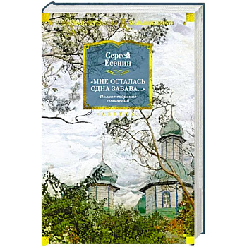 Мне осталась одна забава..