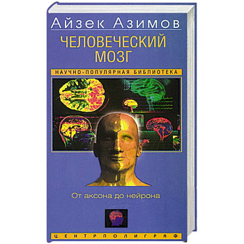 Человеческий мозг. От аксона до нейрона