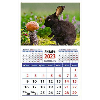 Календарь Год кролика. Длинноух грибник на 2023 год