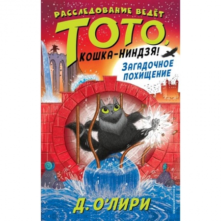 Приключения. Детективы, книга Загадочное похищение купить по скидке