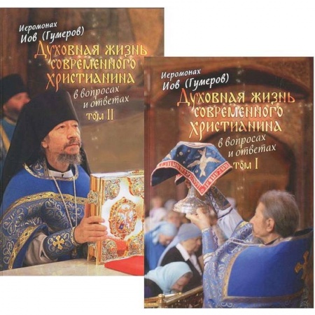 Православие в целом, книга Духовная жизнь современного христианина в вопросах и ответах. В 2-х томах купить по скидке