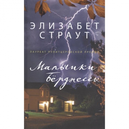 Зарубежная современная проза, книга Мальчики Бёрджессы купить по скидке