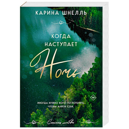 Зарубежная современная проза, книга Когда наступает ночь купить по скидке