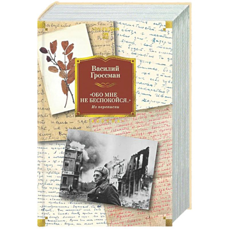 Дневники. Письма. Записки, книга Обо мне не беспокойся...Из переписки Василия Гроссмана купить по скидке