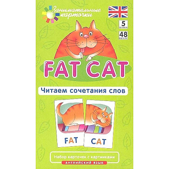 Игровой развивающий набор: Толстый кот. Fat Cat. Читаем сочетания слов. Английский язык.