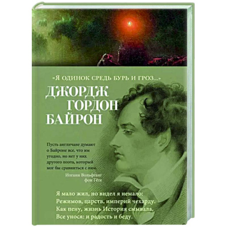 Зарубежная поэзия, книга Я одинок средь бурь и гроз купить по скидке