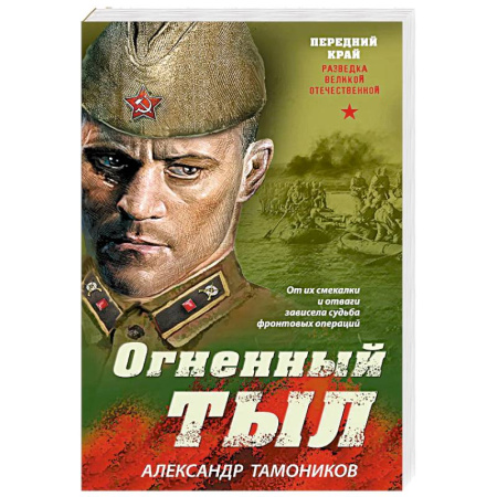 Боевики, военные, книга Огненный тыл купить по скидке