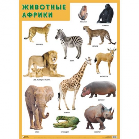 Животный и растительный мир, книга Животные Африки купить по скидке