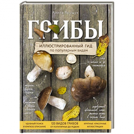 Грибы. Справочники. Определители, книга Грибы. Иллюстрированный гид по популярным видам купить по скидке