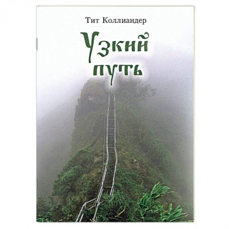 Православие в целом, книга Узкий путь купить по скидке