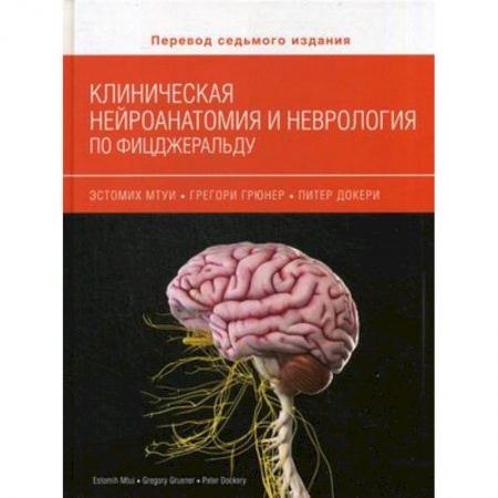 Анатомия и физиология человека, книга Клиническая нейроанатомия и неврология по Фицжеральду купить по скидке