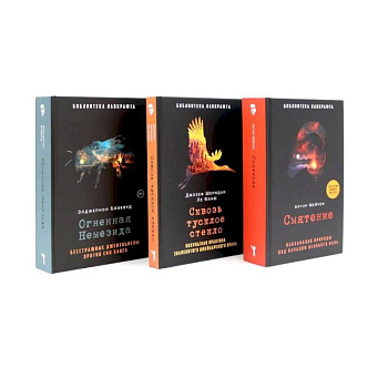 Смятение. Сквозь тусклое стекло. Огненная Немезида. (комплект из 3-х книг)