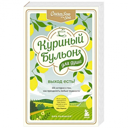 Практическая психология, книга Куриный бульон для души. Выход есть! 101 история о том, как преодолеть любые трудности купить по скидке