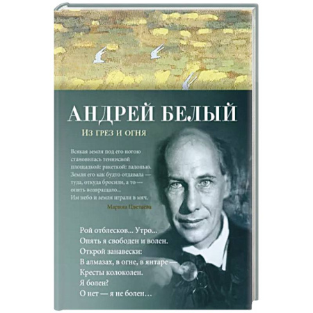 Русская поэзия, книга Из грез и огня купить по скидке