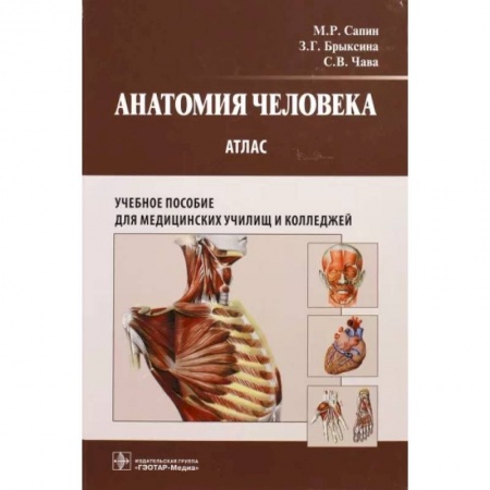 Анатомия и физиология человека, книга Анатомия человека. Атлас для медицинских училищ и колледжей купить по скидке