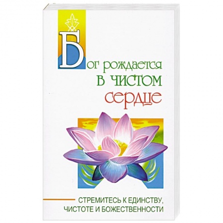Другие эзотерические учения, книга Бог рождается в чистом сердце. Стремитесь к единству, чистоте и божественности купить по скидке