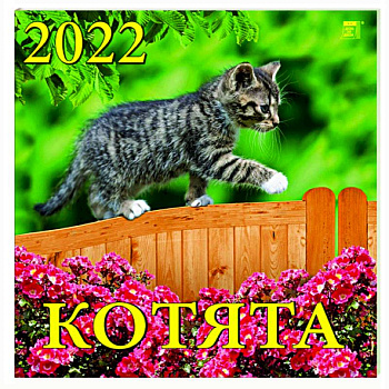 Календарь на 2022 год 'Котята' (70205)