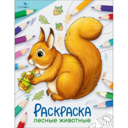 Животные. Птицы. Растения, книга Лесные животные. Раскраска купить по скидке