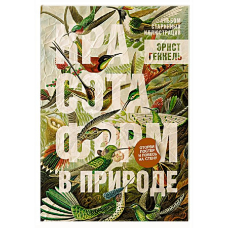 Альбомы по искусству. Фотоальбомы, книга Красота форм в природе. Альбом старинных иллюстраций купить по скидке