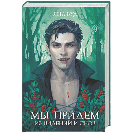 Русское фэнтези, книга Мы придем из видений и снов купить по скидке
