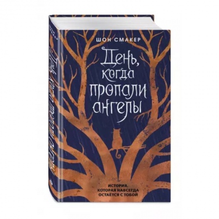 Мистика. Фантастика. Фэнтези, книга День, когда пропали ангелы купить по скидке
