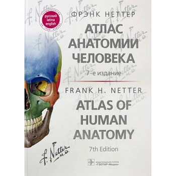 Атлас анатомии человека