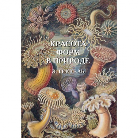 Зоология, книга Красота форм в природе купить по скидке